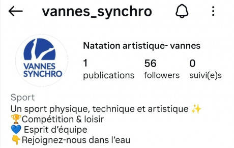 Instagram Vannes_synchro