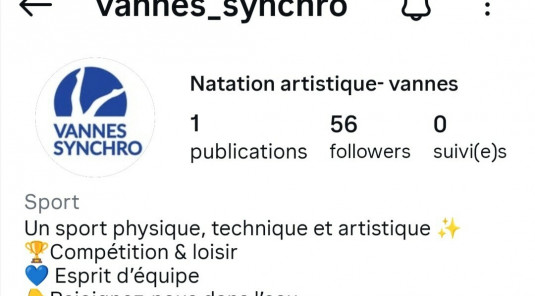 Instagram Vannes_synchro